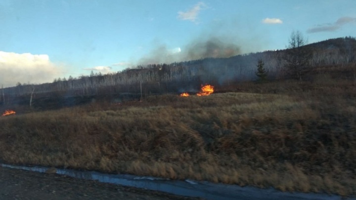 Степной пожар площадью 25 га действует в районе села Кокуй-Комогорцево Шилкинского района
