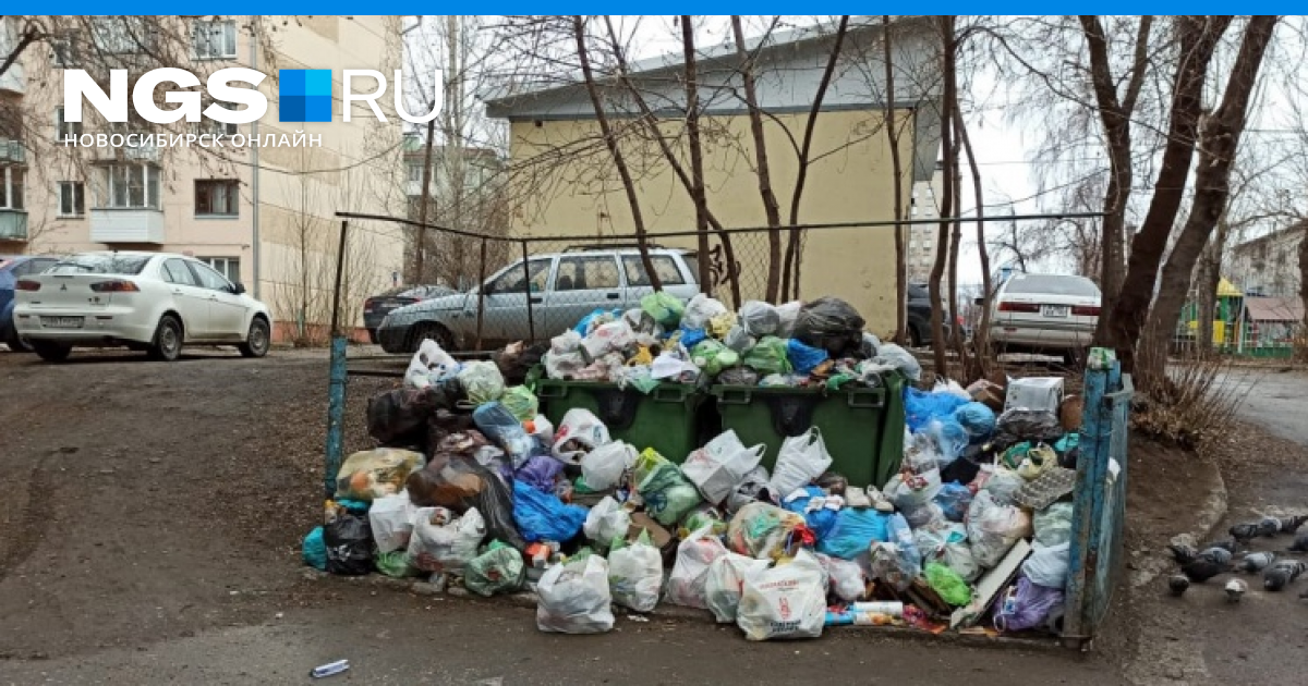 Выбросила ребенка в мусорку в новосибирске. Экологические мусорки. Мусорный бак с мусором.