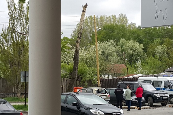 Верхушка тополя упала на припаркованные авто.
Верхушка тополя упала на припаркованные авто.