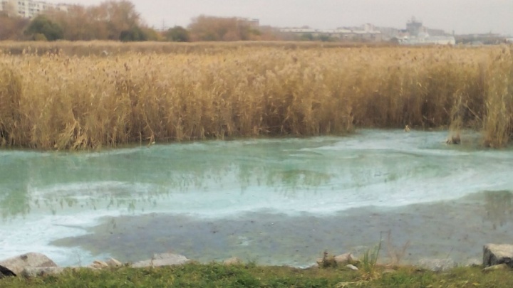 «Слили что-то химическое»: челябинцев встревожила зелёная с пятнами вода в Смолино