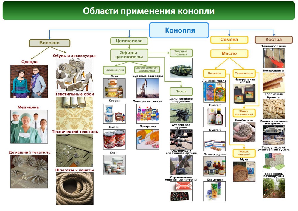 Иллюстрация предоставлена Агропромышленной ассоциацией коноплеводов России