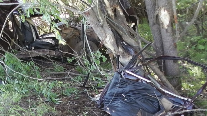 Въехали в дерево: по вине водителя без прав в Сивинском районе погиб пермяк