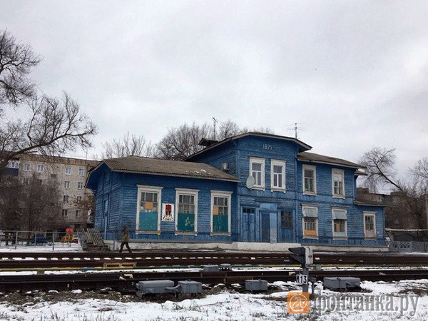 Венера Галеева/"Фонтанка.ру"