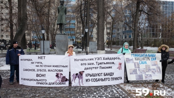 «Против черного списка»: в Перми прошел пикет волонтеров муниципального приюта