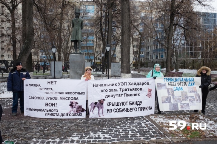 Активисты утверждают, что им закрыли доступ в приют Активисты утверждают, что им закрыли доступ в приют