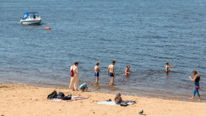 Самарцев предупреждают, что нельзя купаться на пляже в Загородном парке