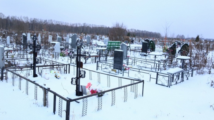Ядовитые воды потекут в огороды: под Ярославлем построят кладбище на ручье