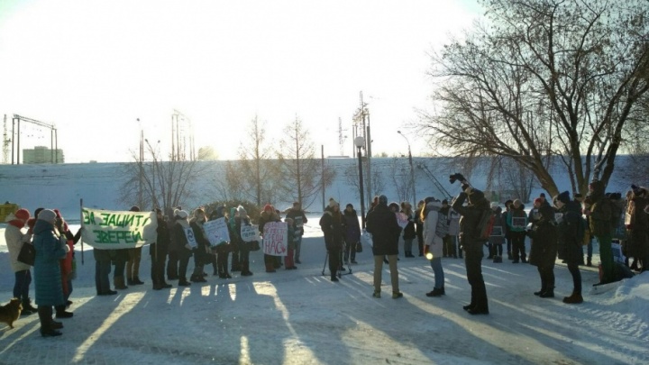 В Перми во время пикета собрали 200 подписей против притравочных станций