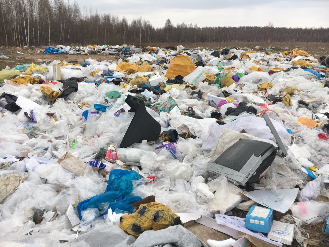 Местные жители уверяют, что мусор сюда везут самосвалами со строек Местные жители уверяют, что мусор сюда везут самосвалами со строек