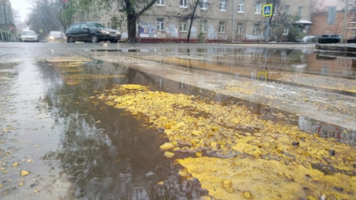 В Ярославле свежая дорожная разметка растворилась в осенних лужах