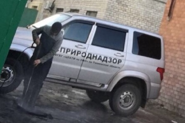 Представители центра сообщили, что на заднем дворе они моют только коврики Представители центра сообщили, что на заднем дворе они моют только коврики