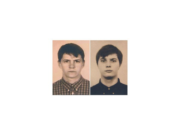 Боровиков., Воеводин архив: Фонтанка.ру