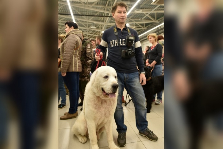 В Перми открылась выставка собак