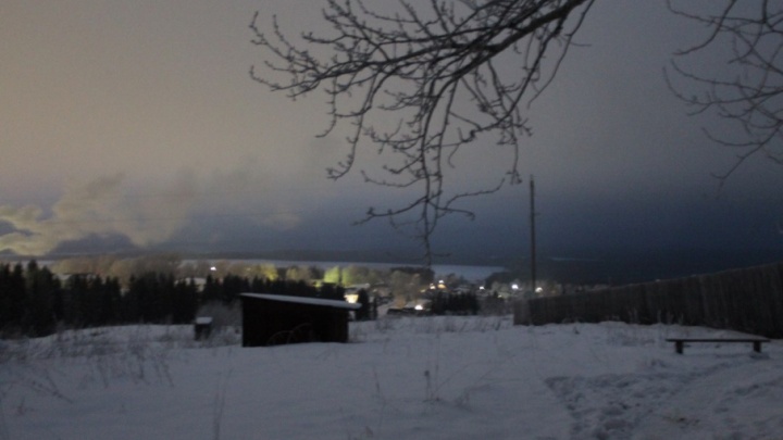 «Дети из школы идут в темноте»: в прикамском посёлке, где волки нападали на собак, восстановят освещение