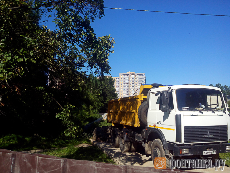 Подвоз мусора для засыпки пруда