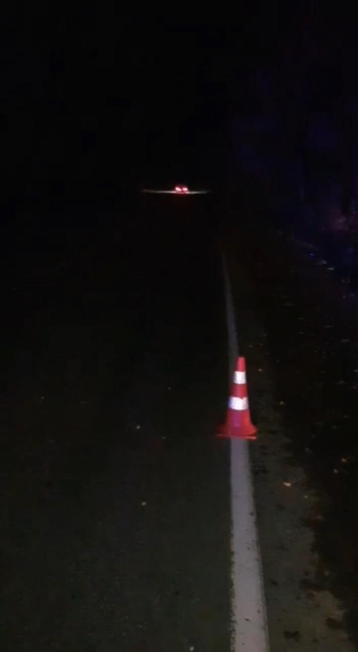 Скриншот с видео отдела пропаганды УГИБДД по Петербургу и Ленобласти