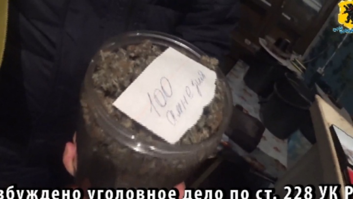 Житель Ярославской области хранил килограмм марихуаны в стеклянных банках