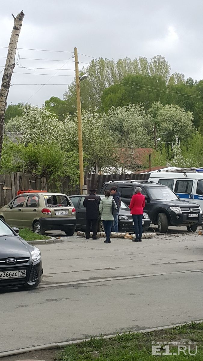 Вниз упала верхушка тополя.
Вниз упала верхушка тополя.