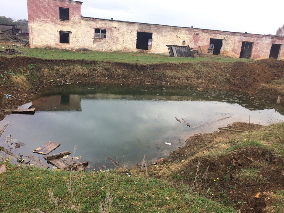 Для поиска были привлечены водолазы Для поиска были привлечены водолазы