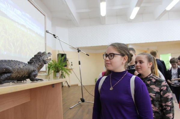 Крокодил украсил коллекцию детского центра Крокодил украсил коллекцию детского центра