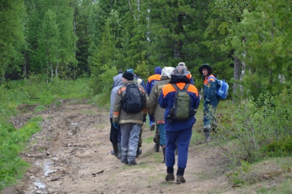 В поисках задействовано уже 500 человек.
В поисках задействовано уже 500 человек.