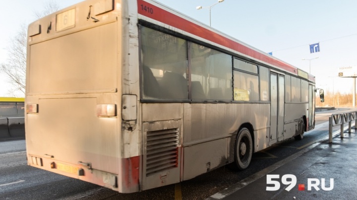 В Перми запустят дачные автобусные маршруты