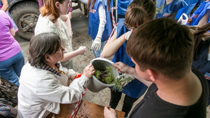 Одаренные дети Челябинской области высадили 70 рябин и яблонь