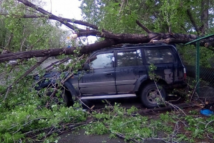 Этот автомобиль очевидцы сфотографировали возле автодрома областной ГИБДД Этот автомобиль очевидцы сфотографировали возле автодрома областной ГИБДД