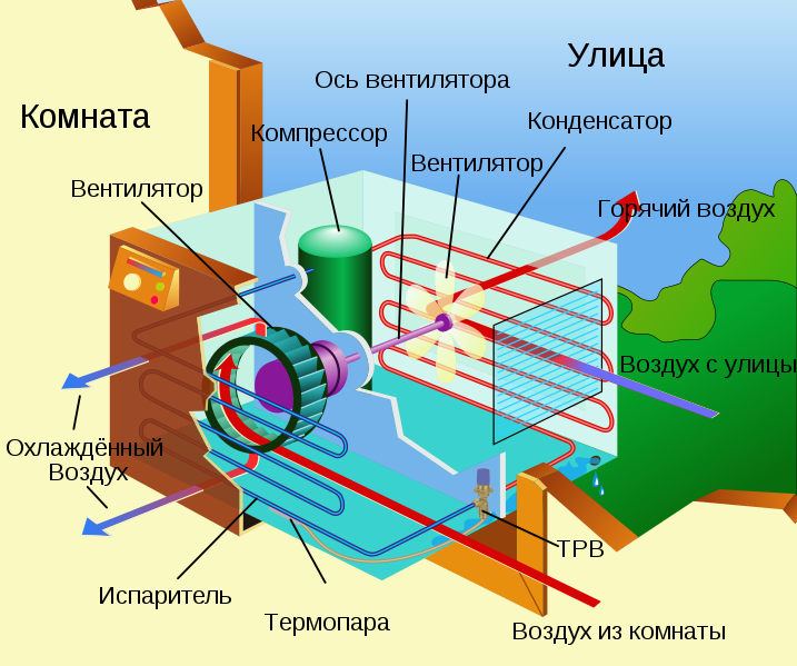 Источник: Wikipedia