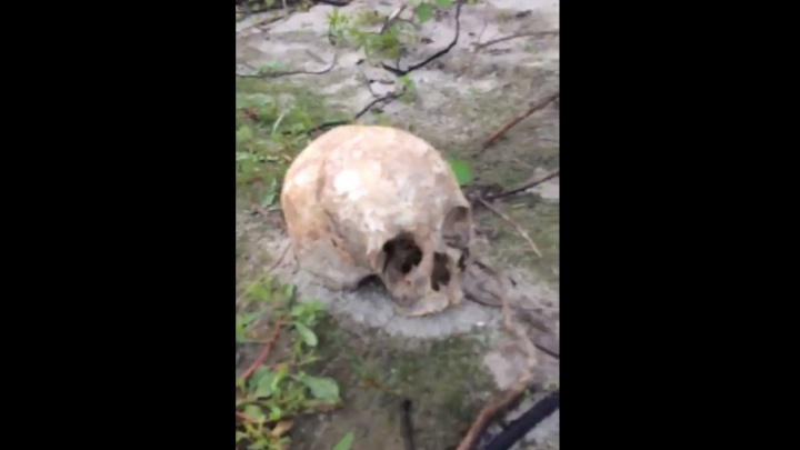 Рыбаки сняли на видео груды человеческих черепов и костей на берегу Иртыша