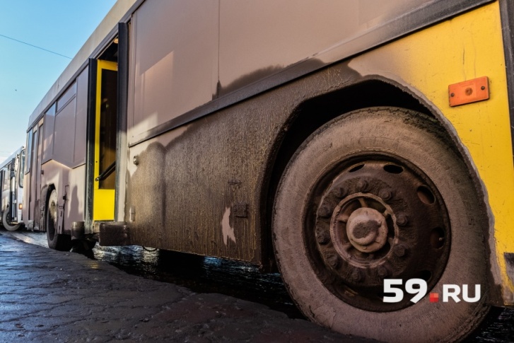Штрафы за грязные автобусы не предусмотрены