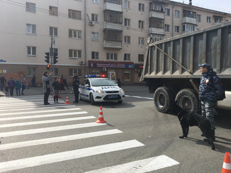 Пёс хоть и не понимает суть праздничной даты, но стоит величественно и торжественно. Так положено Пёс хоть и не понимает суть праздничной даты, но стоит величественно и торжественно. Так положено