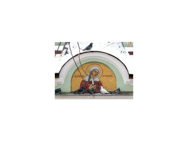 www.cirota.ru