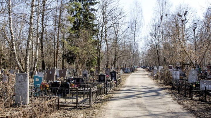 Через год мёртвых хоронить негде будет: мэр рассказал о критичной ситуации с кладбищами