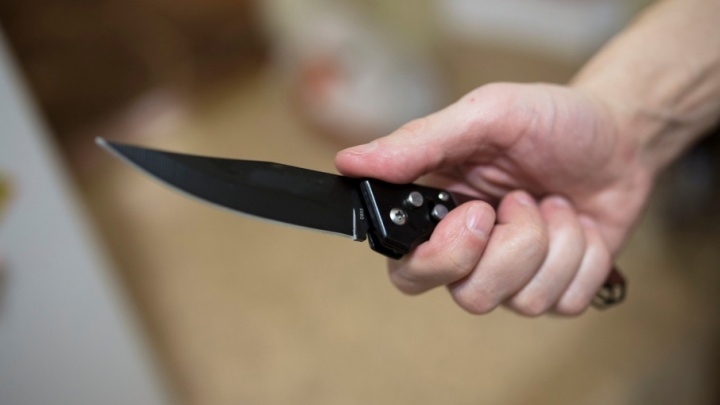В Ярославле женщина ударила ножом собственного сына