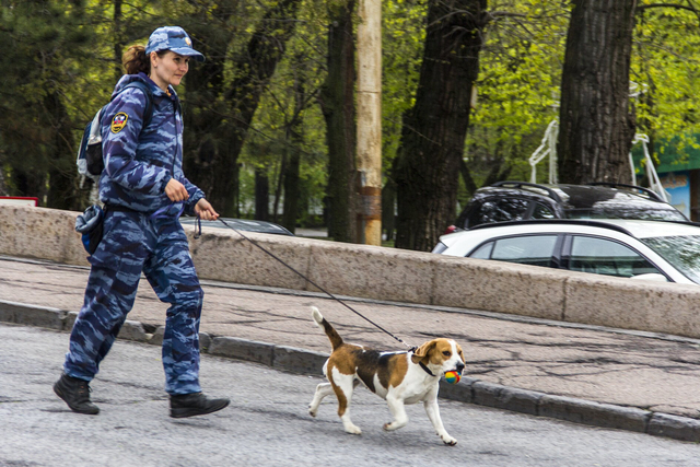 Ученики принесли в школу мину Ученики принесли в школу мину
