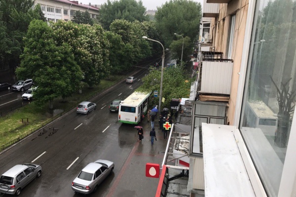Тополь упал на пенсионерку на Ленина Тополь упал на пенсионерку на Ленина