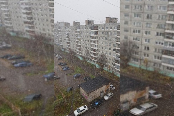 Пользователи публикуют фотографии снега в соцсетях Пользователи публикуют фотографии снега в соцсетях