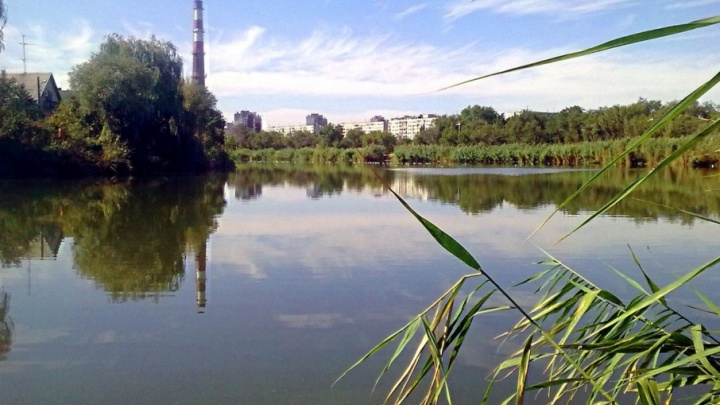 В Волгограде живописное озеро Сарпа гибнет на глазах горожан