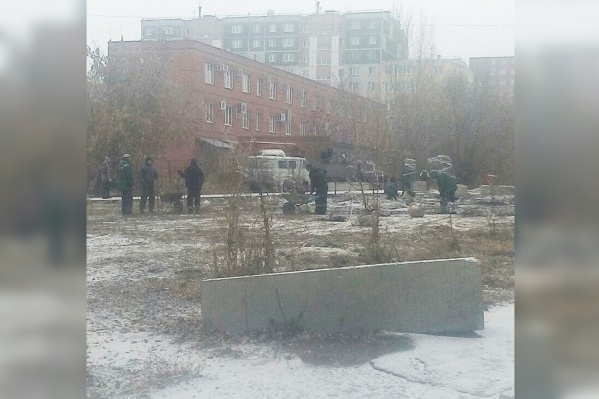 Компенсационные высадки по плану проводятся до конца ноября Компенсационные высадки по плану проводятся до конца ноября