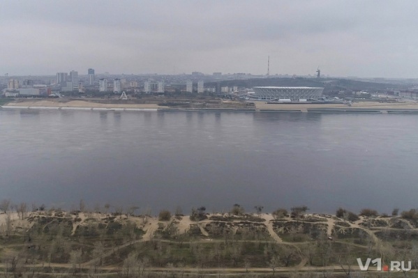 Волгоградской мошке не позволят сосать кровь иностранных болельщиков ЧМ-2018 Волгоградской мошке не позволят сосать кровь иностранных болельщиков ЧМ-2018