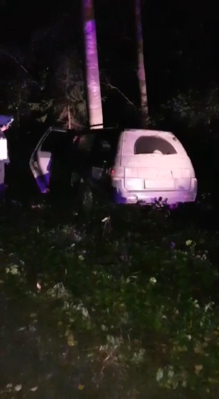 Скриншот с видео отдела пропаганды УГИБДД по Петербургу и Ленобласти
