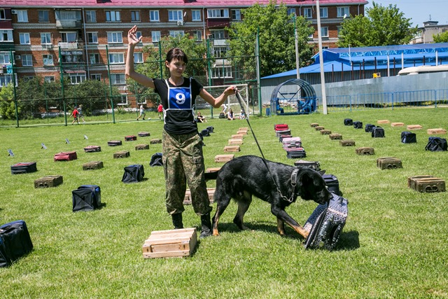 Осенью победители поедут на международный турнир Осенью победители поедут на международный турнир