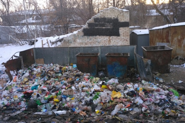 Жители поселка в Кировском районе так и не дождались уборки мусора Жители поселка в Кировском районе так и не дождались уборки мусора