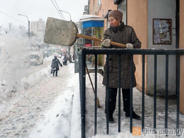 фото: Михаил Огнев/"Фонтанка.ру"