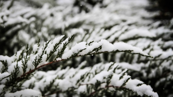 Синоптики: на выходных в Ростове ожидается снег с дождем