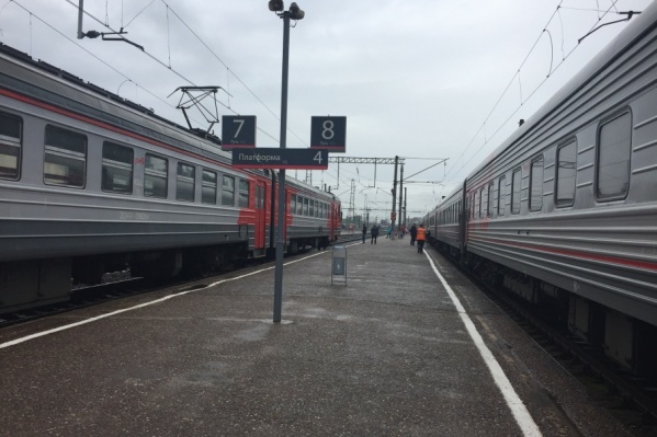 Из-за зайца машинисту пришлось экстренно тормозить Из-за зайца машинисту пришлось экстренно тормозить