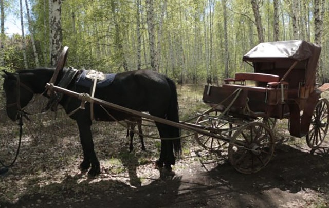 На Южном Урале нашли и отреставрировали карету XIX века