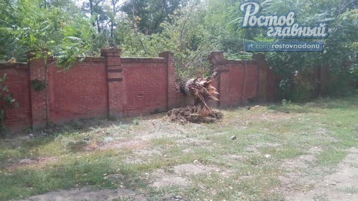 Упавшее дерево проломило кирпичный забор, ограждающий территорию завода «Ростсельмаш»