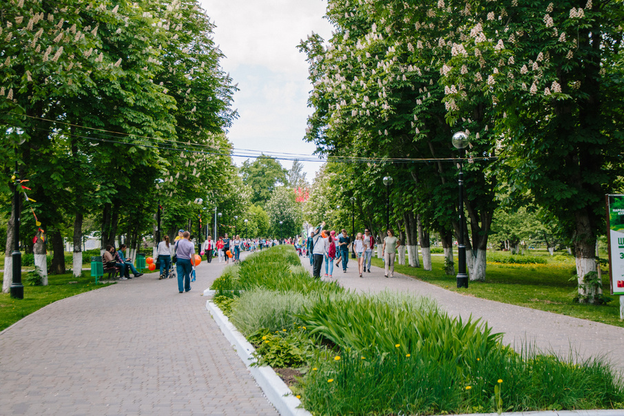 Фото парков самары. Парк Гагарина и загородный парк Самара. Гор парк Самара. Деревья парка Гагарина Самара. Парк Гагарина Самара дуб.